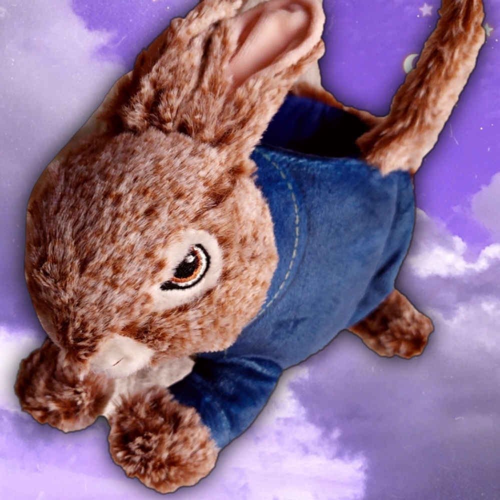 Super Cute Peter Rabbit Bunny Basket